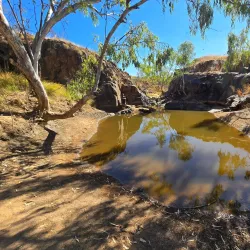 China Wall - Halls Creek