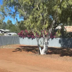 Jarlmadangah Burru Aboriginal Art and Cultural Centre - Halls Creek