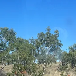 Jarlmadangah Burru Aboriginal Art and Cultural Centre - Halls Creek