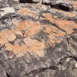 Piccaninny Creek - Halls Creek