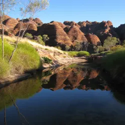 Purnululu National Park (Bungle Bungle Range) - Halls Creek