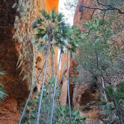 Purnululu National Park (Bungle Bungle Range) - Halls Creek