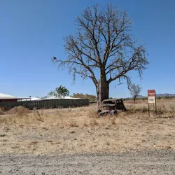 Warmun Art Centre - Halls Creek