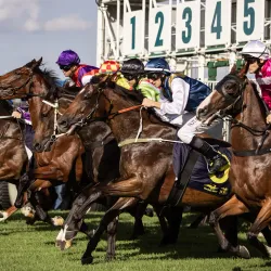 Hawkesbury Race Club - Hawkesbury City