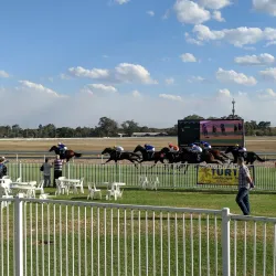 Hawkesbury Race Club - Hawkesbury City