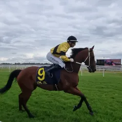 Hawkesbury Race Club - Hawkesbury City