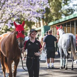 Hawkesbury Race Club - Hawkesbury City