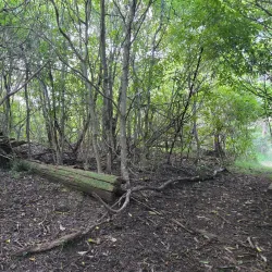 Kurrajong Heights Lookout - Hawkesbury City
