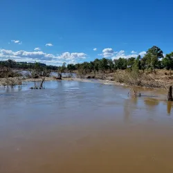 Yarramundi Reserve - Hawkesbury City