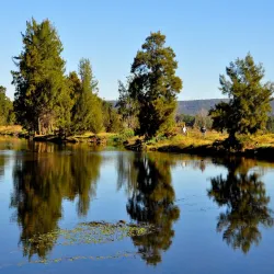 Yarramundi Reserve - Hawkesbury City