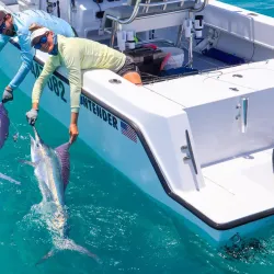 Bay Cruises and Fishing Charters - Hervey Bay