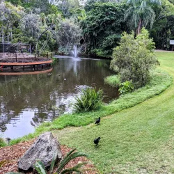 Hervey Bay Botanic Gardens - Hervey Bay