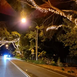 Hervey Bay Esplanade - Hervey Bay