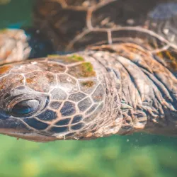 Reefworld Aquarium - Hervey Bay