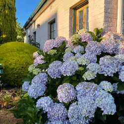 Battery Point - Hobart