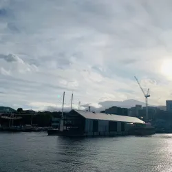 Constitution Dock - Hobart