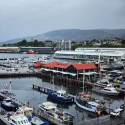 Constitution Dock - Hobart