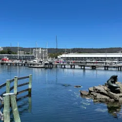 Constitution Dock - Hobart