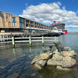 Constitution Dock - Hobart