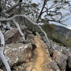 Mount Wellington (Kunanyi) - Hobart