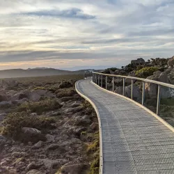 Mount Wellington (Kunanyi) - Hobart