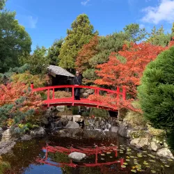 Royal Tasmanian Botanical Gardens - Hobart