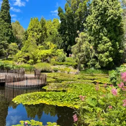 Royal Tasmanian Botanical Gardens - Hobart