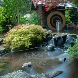 Royal Tasmanian Botanical Gardens - Hobart