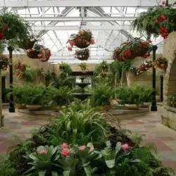 Royal Tasmanian Botanical Gardens - Hobart