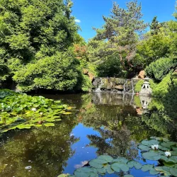 Royal Tasmanian Botanical Gardens - Hobart