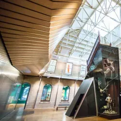 Tasmanian Museum and Art Gallery - Hobart