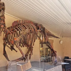 Tasmanian Museum and Art Gallery - Hobart