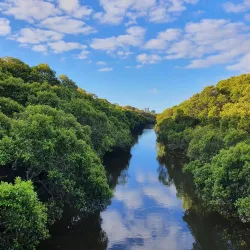 Bicentennial Park - Homebush