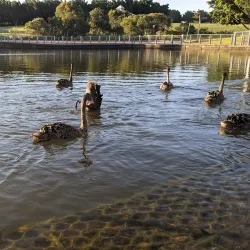 Bicentennial Park - Homebush