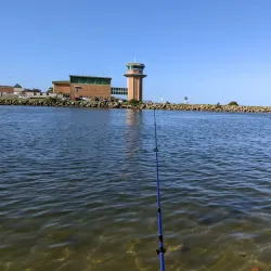 Cooks River Cycleway - Homebush
