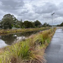 Homebush Bay Wetlands - Homebush