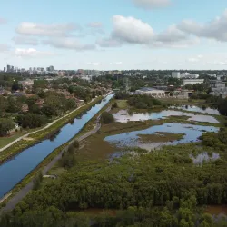 Homebush Bay Wetlands - Homebush
