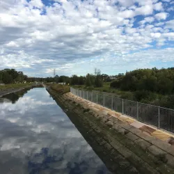 Homebush Bay Wetlands - Homebush