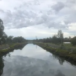 Homebush Bay Wetlands - Homebush