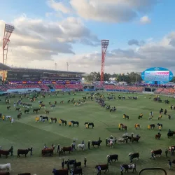 Sydney Showground - Homebush