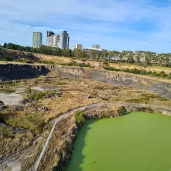 Wentworth Common - Homebush