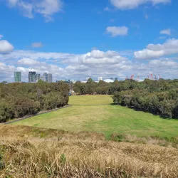 Wentworth Common - Homebush