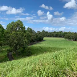 Wentworth Common - Homebush