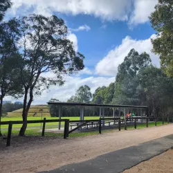 Wentworth Common - Homebush