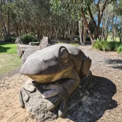 Wentworth Common - Homebush