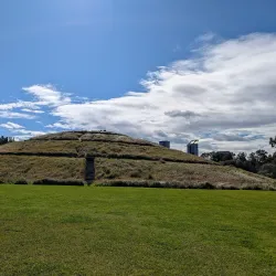 Wentworth Common - Homebush