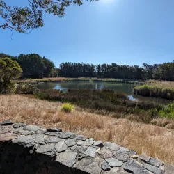Wentworth Common - Homebush