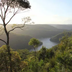 Berowra Valley National Park - Hornsby
