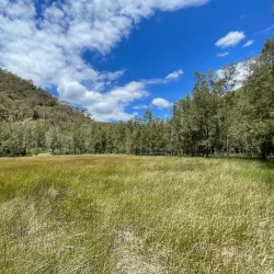 Berowra Valley National Park - Hornsby
