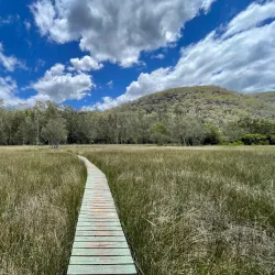 Berowra Valley National Park - Hornsby